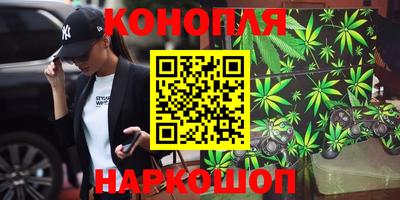 гашик Краснознаменск