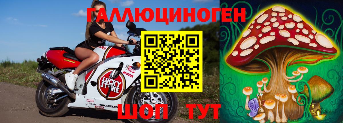 Галлюциногенные грибы прущие грибы  Вход с VPN  Елец 