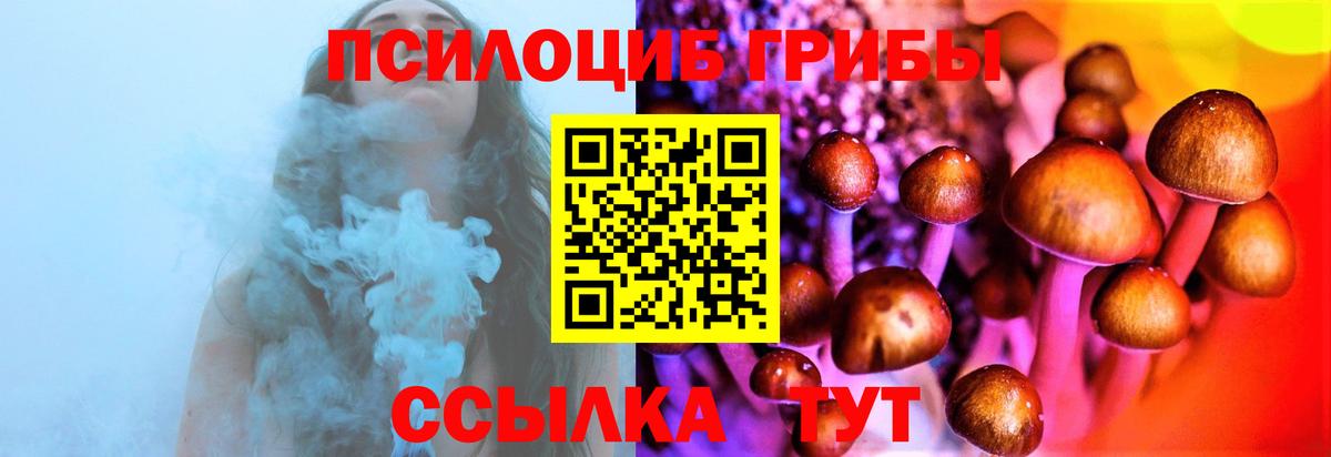 Галлюциногенные грибы ЛСД Елец